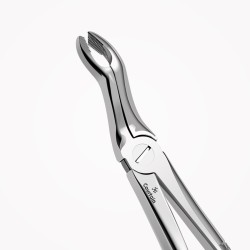 N°67 3-Dents de  sagesse supérieures