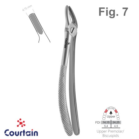Extracting Forceps, English Pattern, Fig. 7