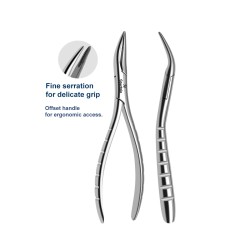 LINDO-LEVIEN Fig: 300