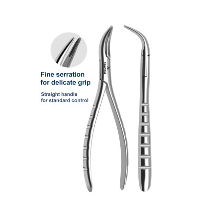 LINDO-LEVIEN Fig: 301