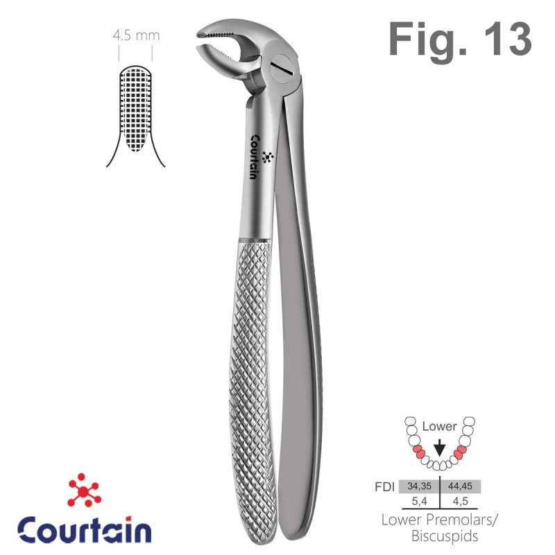 Extracting Forceps, English Pattern, Fig. 13 Extracting Forceps, English Pattern, Fig. 13