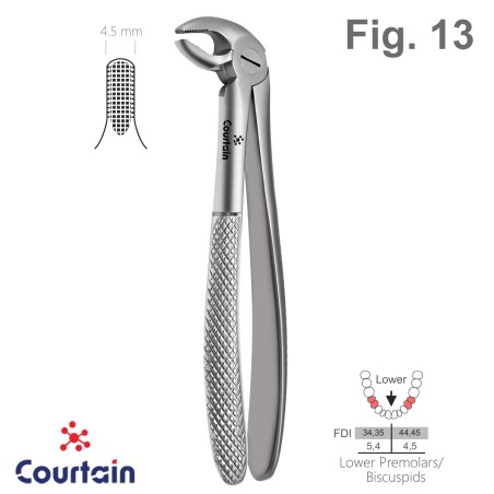 Extracting Forceps, English Pattern, Fig. 13