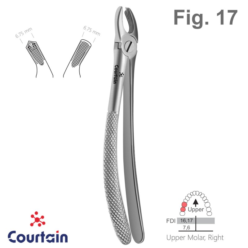 Extracting Forceps, English Pattern, Fig. 17