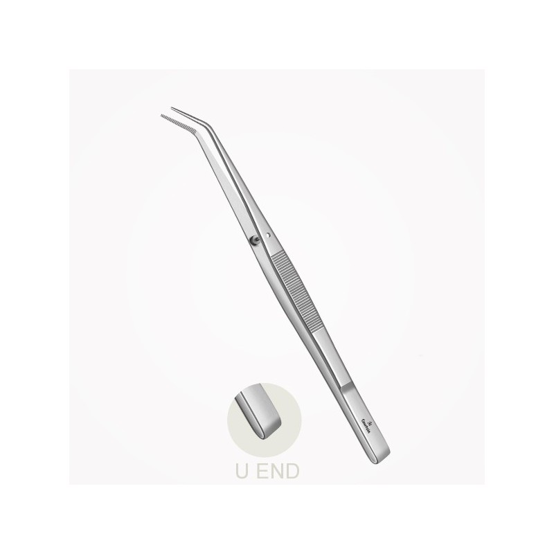 Pince College 16 cm bout en U