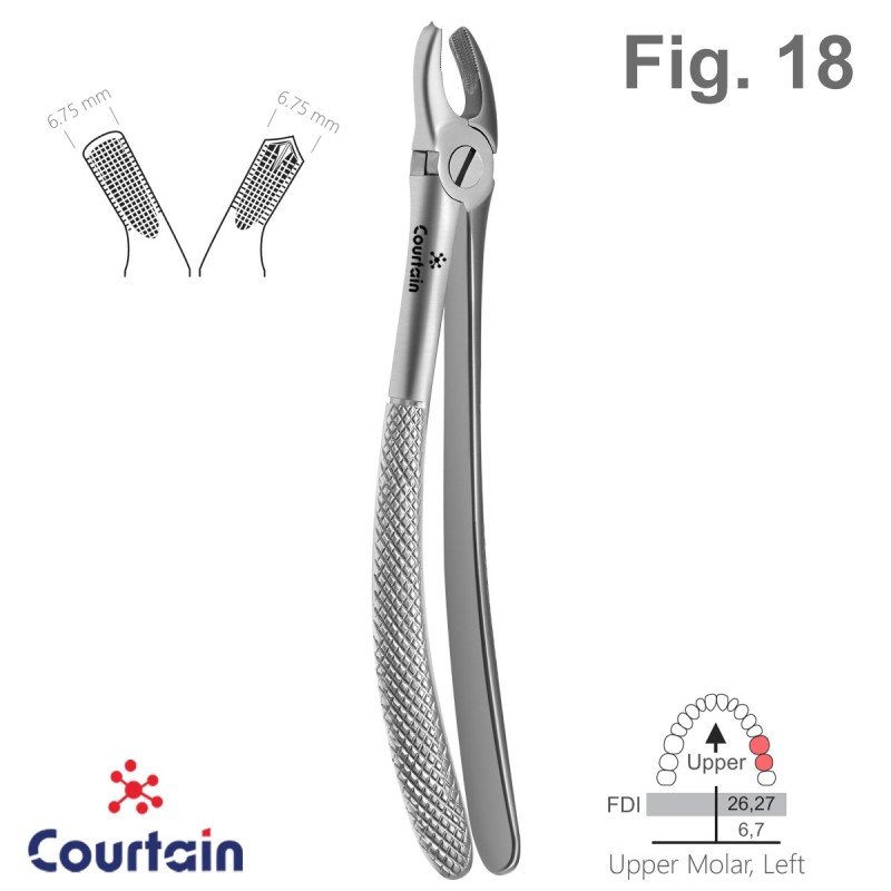 Extracting Forceps, English Pattern, Fig. 18