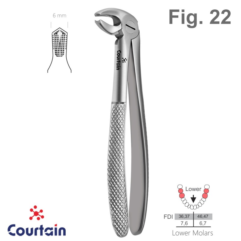 Extracting Forceps, English Pattern, Fig. 22 Extracting Forceps, English Pattern, Fig. 22