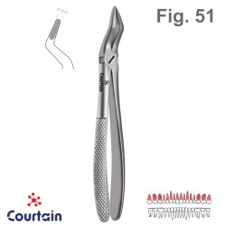 Extracting Forceps, English Pattern, Fig. 51
