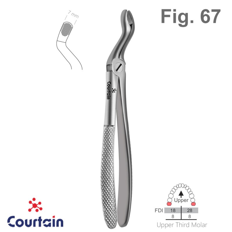 Extracting Forceps, English Pattern, Fig. 67