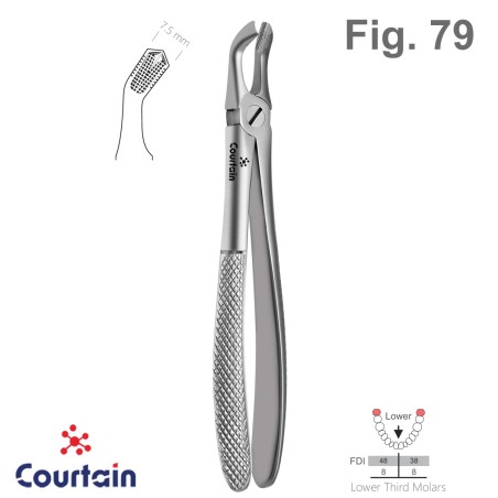 Extracting Forceps, English Pattern, Fig. 79