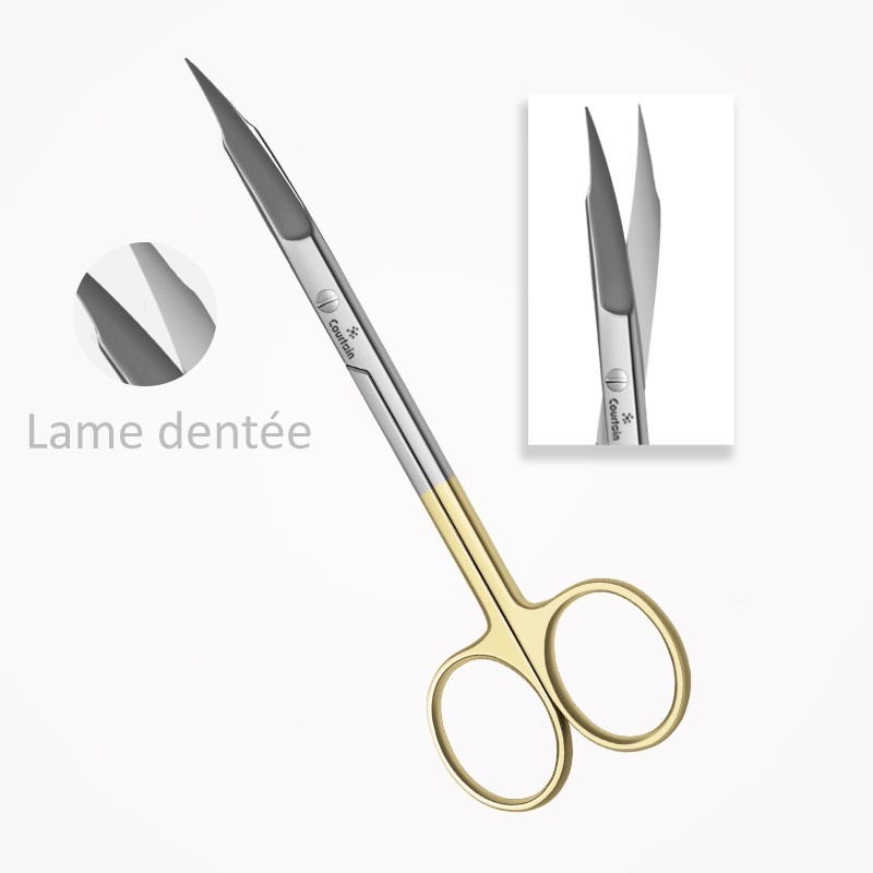 Ciseaux Gingivaux TC GOLDMANN-FOX Courbés 13 cm