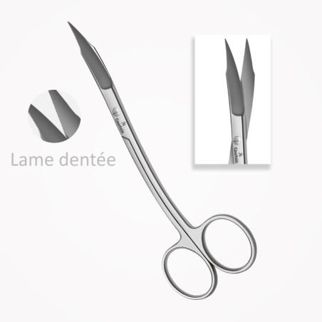 Ciseaux Gingivaux GOLDMANN-FOX 13 cm (130 mm), Forme S