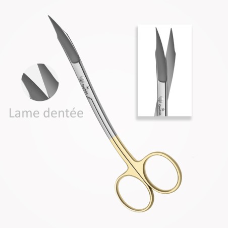 Ciseaux Gingivaux TC GOLDMANN-FOX 13 cm (130 mm), Forme S