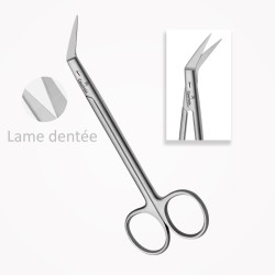 Ciseaux à gencives, WAGNER, 15 cm, Lames tranchantes des deux côtés, Angulés