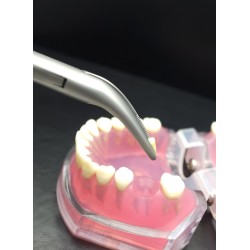 LINDO-LEVIEN Fig: 300