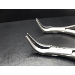 LINDO-LEVIEN Fig: 301