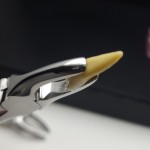 N°1 Devant  supérieur