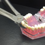 N°1 Devant  supérieur