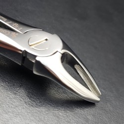 N°7 Prémolaires  supérieures