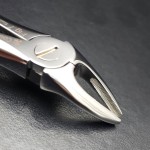 N°7 Prémolaires  supérieures