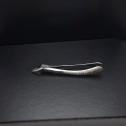 N°7 Prémolaires  supérieures