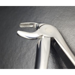 N°13 Devant  inférieur