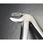 N°13 Devant  inférieur