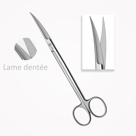 Ciseaux JOSEPH, Courbés, 15 cm