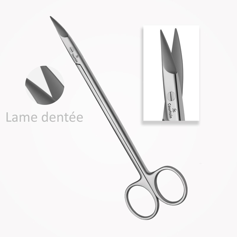 Ciseaux Kelly, Droits, 16 cm