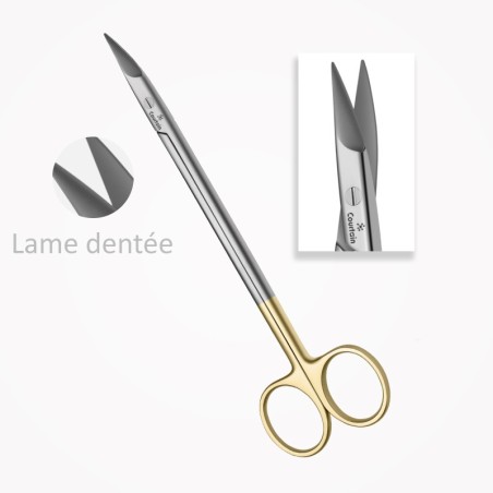 Ciseaux Kelly, Droits, 16 cm, TC