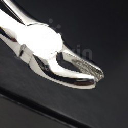 N°18 Molaires  supérieures gauche