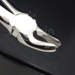 N°18 Molaires  supérieures gauche