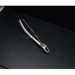 N°18 Molaires  supérieures gauche