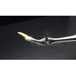 N°18 Molaires  supérieures gauche