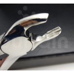 N°17 Molaires  supérieures droit