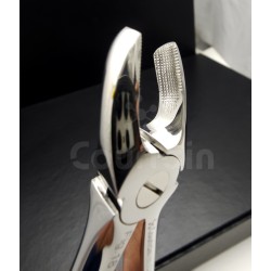 N°17 Molaires  supérieures droit