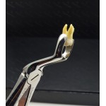 N°67 3-Dents de  sagesse supérieures