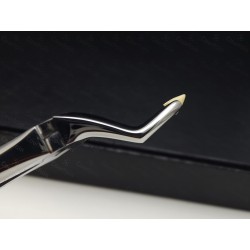 N°51A Racines  supérieures