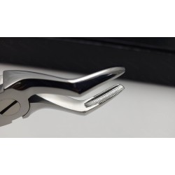 N°51A Racines  supérieures