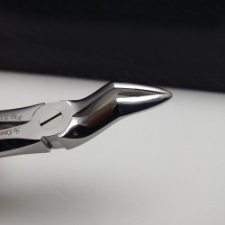 N°51A Racines  supérieures