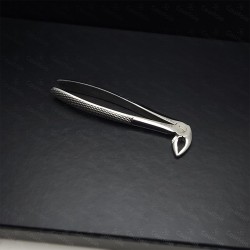 N°33A Racines  inférieures