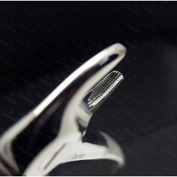 N°33A Racines  inférieures