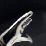 N°33A Racines  inférieures