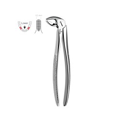 English Pattern Extraction Forceps Lower Premolars/Biscuspids Fig: 13