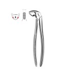 English Pattern Extraction Forceps Lower Premolars/Biscuspids Fig: 13