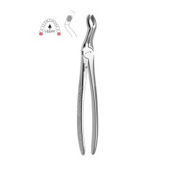 N°67 3-Dents de  sagesse supérieures
