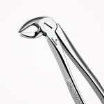 Fig: 13 Extraction forceps